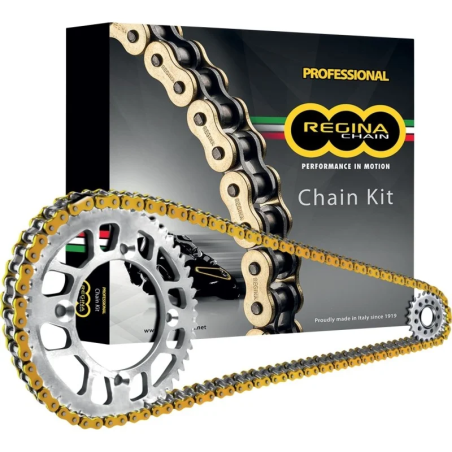 Regina ZRP transmissieset voor Honda XADV 750 17–25, Forza 750 21–23 steek 520