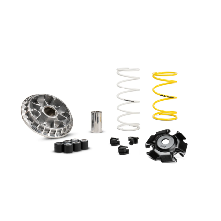 Variateur Malossi Multivar pour Honda SH 125-150 13-19, ADV 150 20-22, Forza 125 16-20, SH 125 mode 17-25