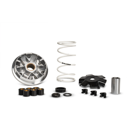 Variatore Malossi Multivar per motori minarelli 50, Yamaha Aerox, Beta ark, malaguti F12, MBK nitro, yamaha Ovetto