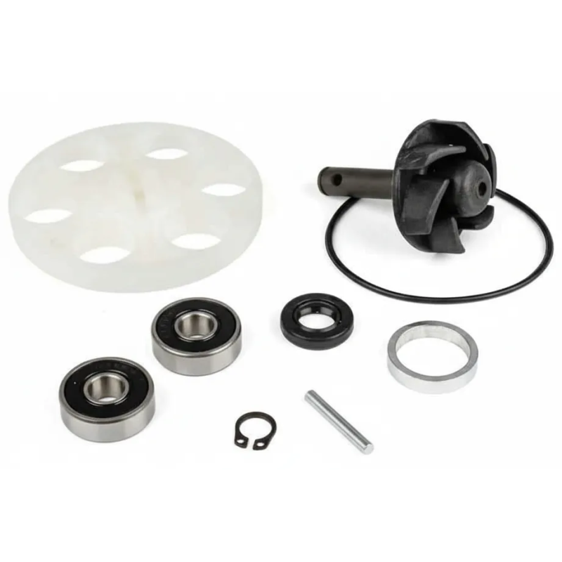 Top Performance AA00788 Waterpomp Revisie Kit voor Minarelli 50 2T Scooters, Aerox, F12, Ark, Nitro Top Performance AA00788 Waterpomp Revisie Kit voor Minarelli 50 2T Scooters, Aerox, F12, Ark, Nitro