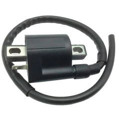Bobina Accensione per motori Minarelli 50, Aprilia SR, MBK Booster, Ovetto, Nitro, Yamaha Aerox, Neos
