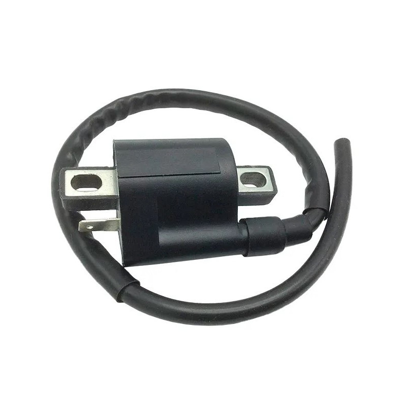 Ignition Coil for Minarelli 50 engines, Aprilia SR, MBK Booster, Ovetto, Nitro, Yamaha Aerox, Neos