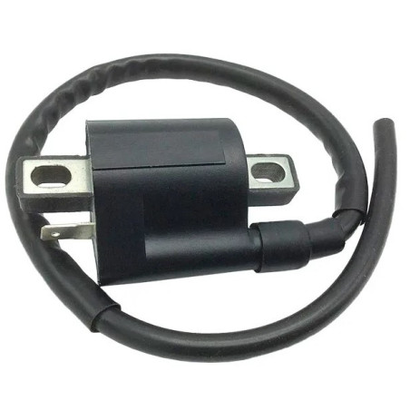 Ontstekingsspoel voor Minarelli 50 motoren, Aprilia SR, MBK Booster, Ovetto, Nitro, Yamaha Aerox, Neos