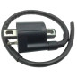 Bobina de Encendido para motores Minarelli 50, Aprilia SR, MBK Booster, Ovetto, Nitro, Yamaha Aerox, Neos