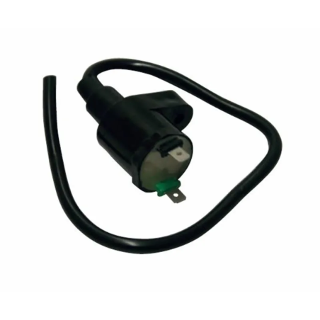 Bobina de Encendido para Aprilia Scarabeo-SPortcity 125, Gilera Runner 125-200, Honda SH 50, 125, Dylan, PIaggno beverly 125