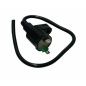 Bobina de Encendido para Aprilia Scarabeo-SPortcity 125, Gilera Runner 125-200, Honda SH 50, 125, Dylan, PIaggno beverly 125