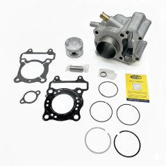 Magneti Marelli complete cilinder voor Honda SH 125 01-12
