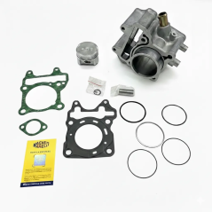 Magneti Marelli Complete Cylinder for Honda SH 125 13-20, PCX 125 13-18