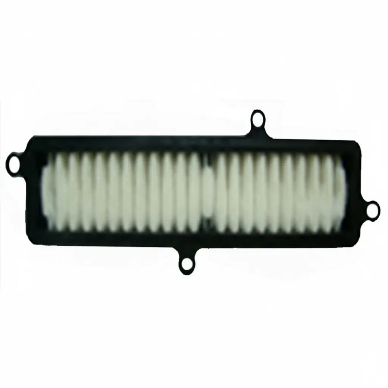 Filtro aria Motore Suzuki Burgman 125, 200 06-20
