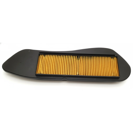 Hokio Filtro aria Motore Yamaha XMAX 125 06-20, X-MAX 250 05-16, X-City 125 / 250