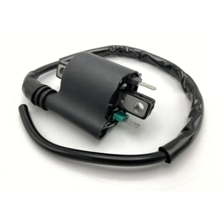 Bobine d'allumage pour moteurs Honda SH 125I-150I 05-22, SH 125 MODE 14-22, Integra 700 / 750, XADV 750 17-21, Yamaha XMAX 400