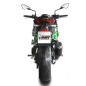 Mivv GP Pro Auspuff schwarz für Kawasaki Z900 2025-2027 Mivv GP Pro Auspuff schwarz für Kawasaki Z900 2025-2027