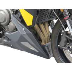 Powerbronze Engine spoiler Triumph Tiger Sport 800 25-26