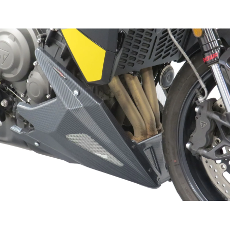 Powerbronze Puntale motore Triumph Tiger Sport 800 25-26