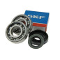 Roulements haute vitesse SKF C4 et joints spi pour moteur Minarelli Roulements haute vitesse SKF C4 et joints spi pour moteur Minarelli