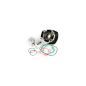Blast 50cc Gietijzeren Cilinder voor Piaggio 2T LC Motoren