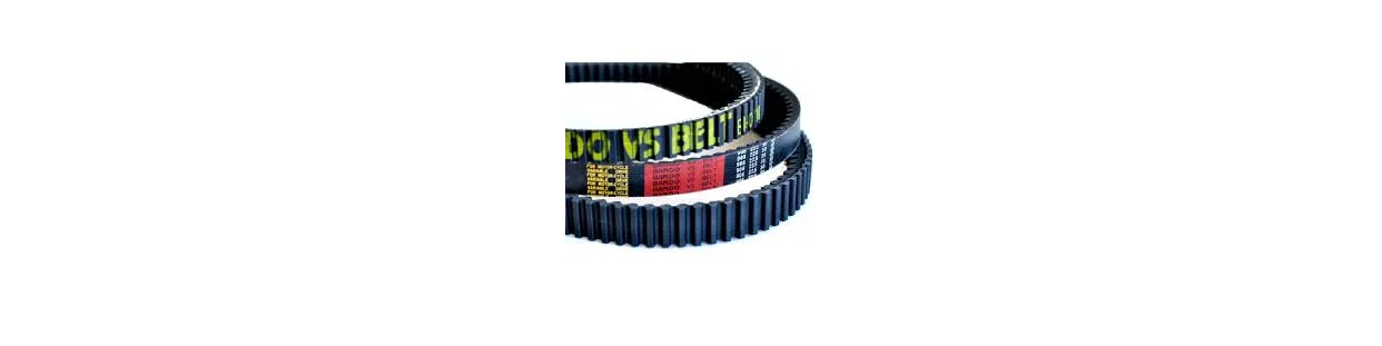 Drive Belts