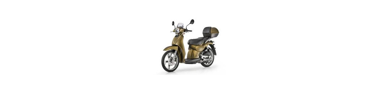 Scarabeo 100 4T