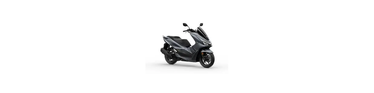 PCX 125 25-