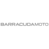 Barracuda